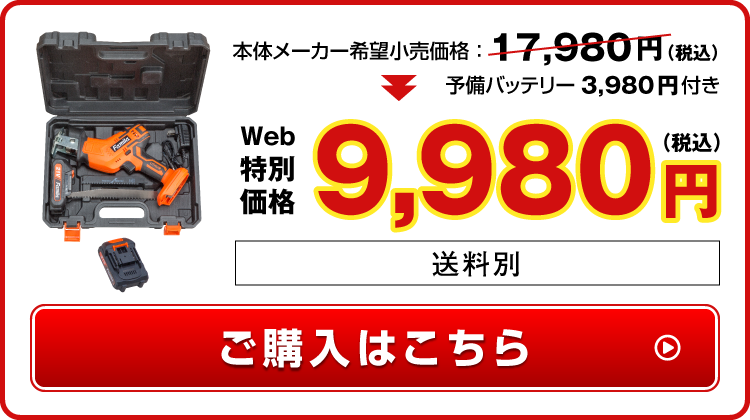 WEB特別価格9980円