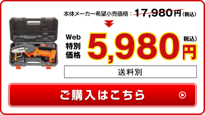 WEB特別価格7980円