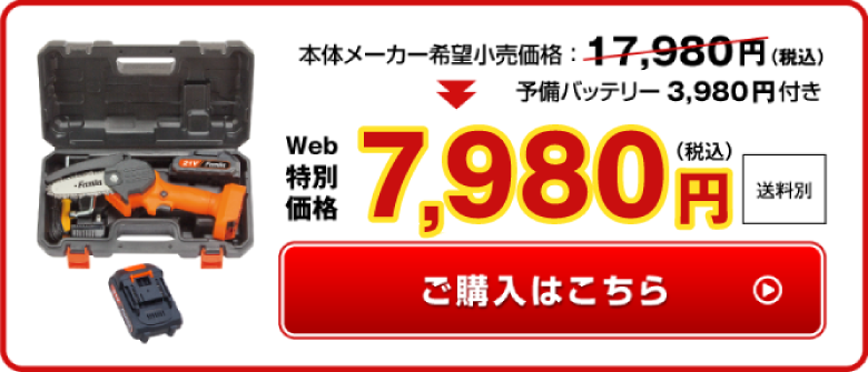 WEB特別価格7980円