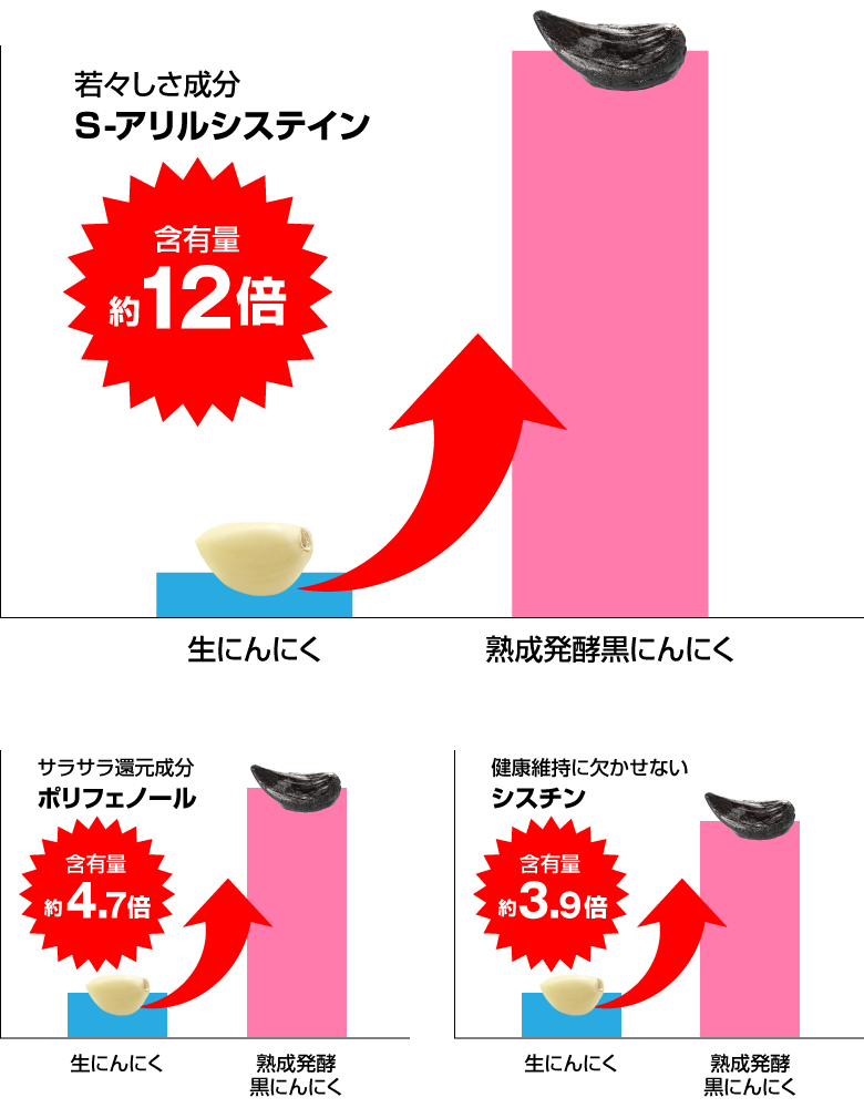 S-アリルシステインが12倍アップ